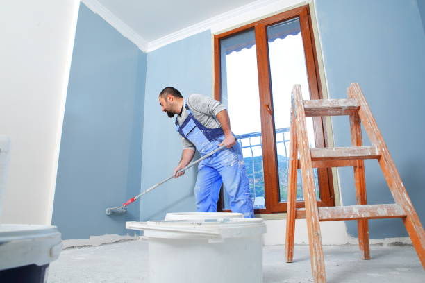 Best Mold Damage Restoration  in Avra Valley, AZ