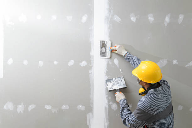 Best Commercial Mold Inspection  in Avra Valley, AZ