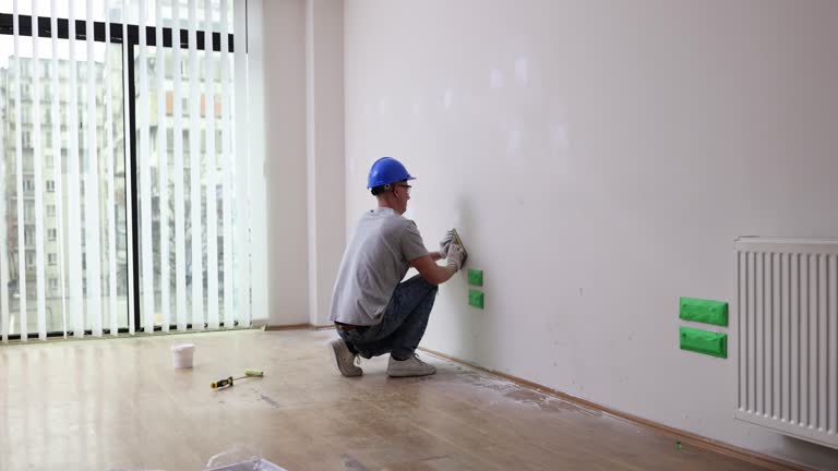 Best Industrial Mold Remediation  in Avra Valley, AZ