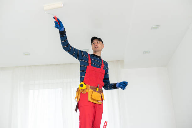  Avra Valley, AZ Mold Removal Pros