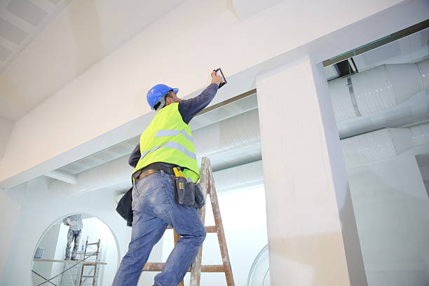 Best Real Estate Mold Inspection  in Avra Valley, AZ