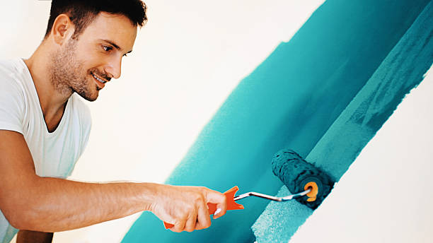 Best Mold Documentation for Insurance Claims  in Avra Valley, AZ