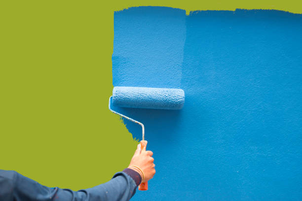 Best Water Damage & Mold Remediation  in Avra Valley, AZ