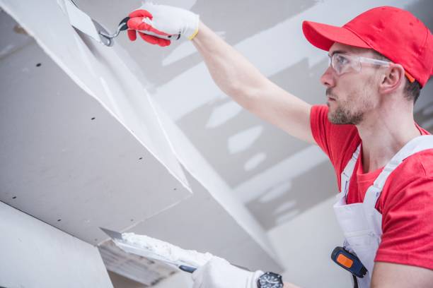 Trusted Avra Valley, AZ Mold Removal Experts