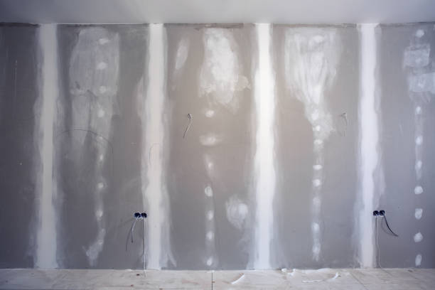 Best HVAC Mold Inspection and Cleaning  in Avra Valley, AZ